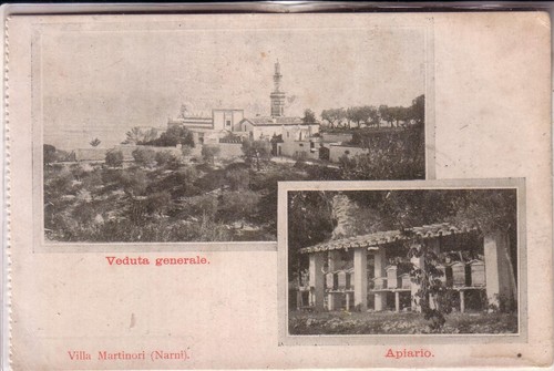 Cartolina antica narni - ,