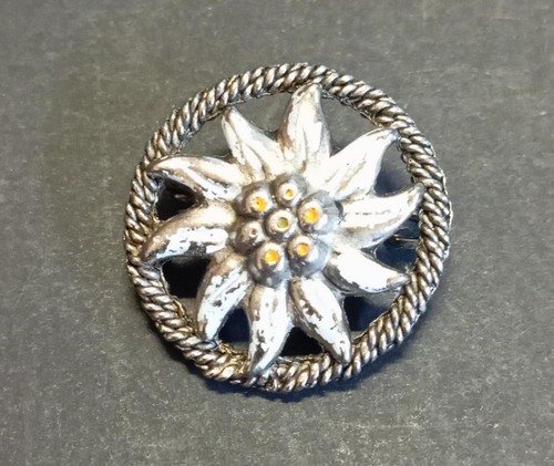 Pin spilla distintivo stella - spilla,