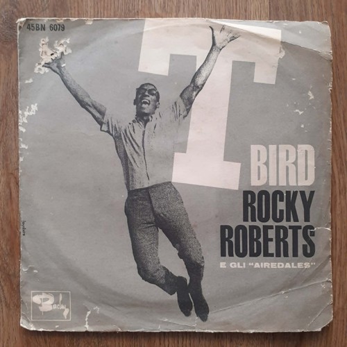 Rocky roberts the airedales - rocky,