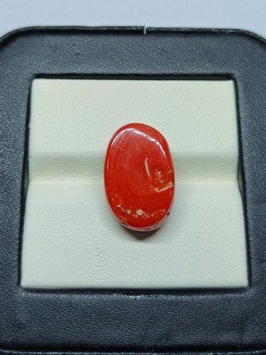 Corallo rosso naturale ovale