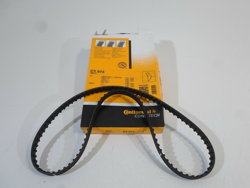 Cinghia dentata timing - cinghia,