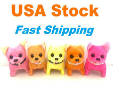 Cucciolo in movimento