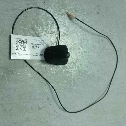 Antenna autoradio tetto