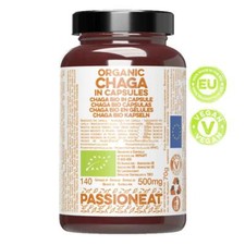 Chaga Inonotus obliquus fungo