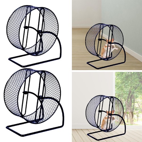 Ruota corse criceto di - da,
