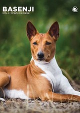 Calendario Basenji 2026