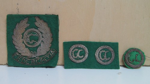 Fregi distintivi guardia - distintivi,