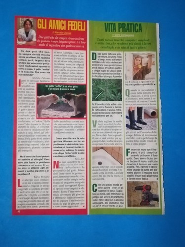 Ritaglio giornale gossip tv - ritaglio,