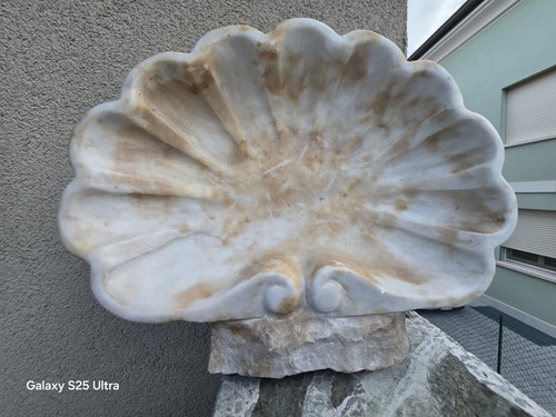 Acquasantiera conchiglia in - acquasantiera, a