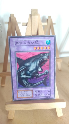 Man eating black shark - shark, squalo