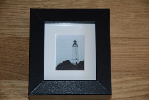 Faro cespuglio spine isola - faro,