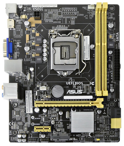 Scheda madre asus - scheda,