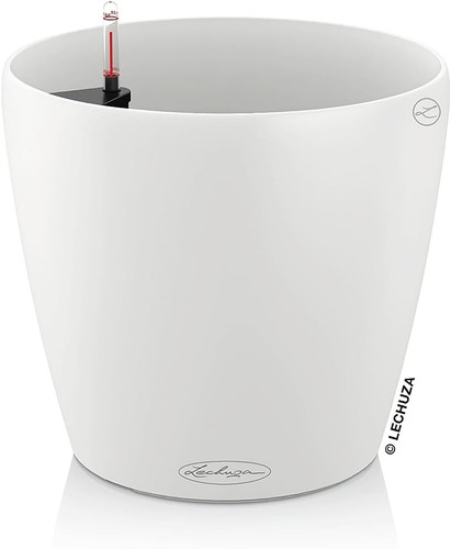 Classico vaso colorato - vaso, per