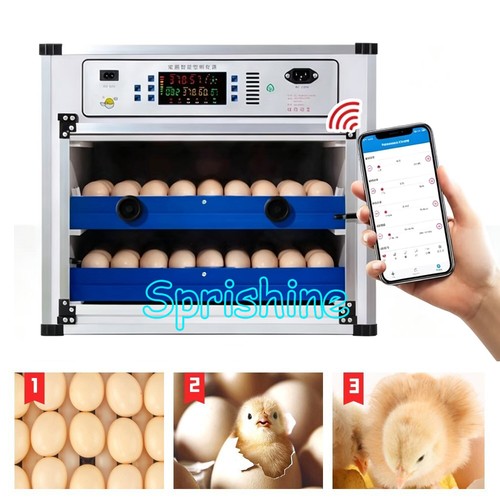 Incubatrice wifi completamente - wifi,