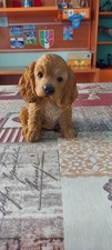 Vivid Arts - Statuetta a forma di Cocker Spaniel 