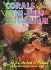 A Mini-Reef Aquarium