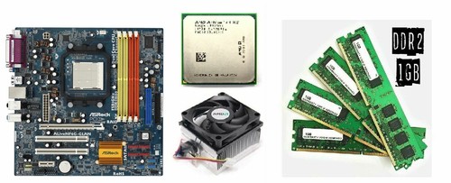 Scheda madre asrock - madre,
