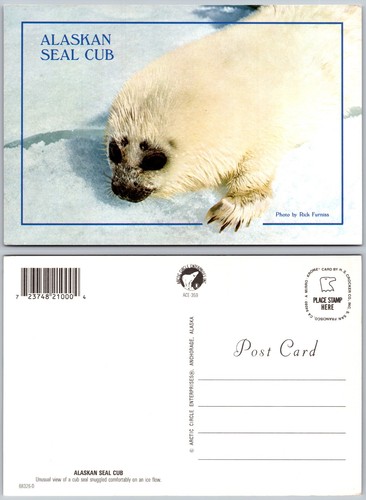 Cartolina continental alaskan - cartolina,