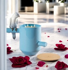 Lladro Candela RITIRATA TESORO PROFUMATO DI PAPPAGALLO (BLU) 01040193 Vaso