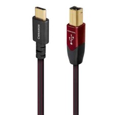 AUDIOQUEST CINNAMON USB C   B