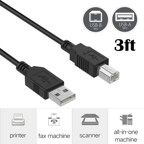 Cavo usb piedi per stampante - 3,