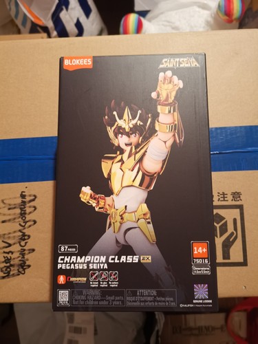 Saint seiya pegasus power - pegasus, of