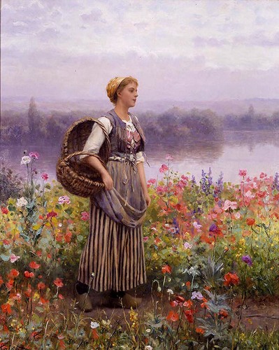 Dipinto olio daniel - , cavaliere
