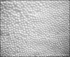 Poltrona Sacco Imbottitura