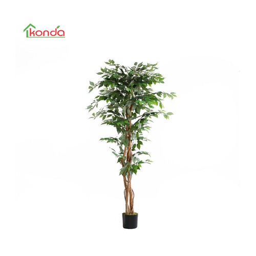 Pianta ficus artificiale 180 - pianta,