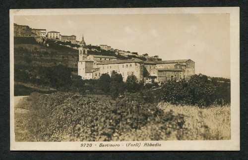 Er242 cartolina bertinoro - cartolina,