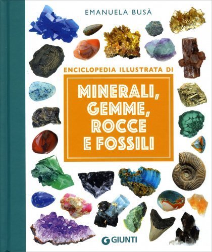 Libro enciclopedia illustrata - enciclopedia,