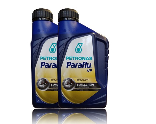 Paraflu liquido - up,