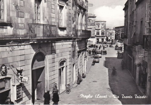 Maglie via - ,