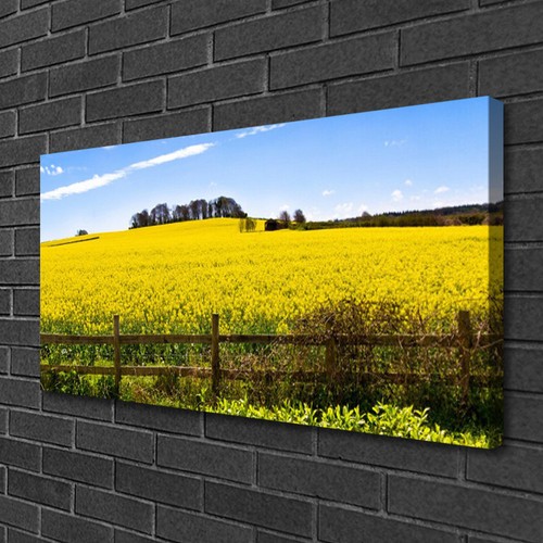 Quadri tela 100x50 quadro - tela,