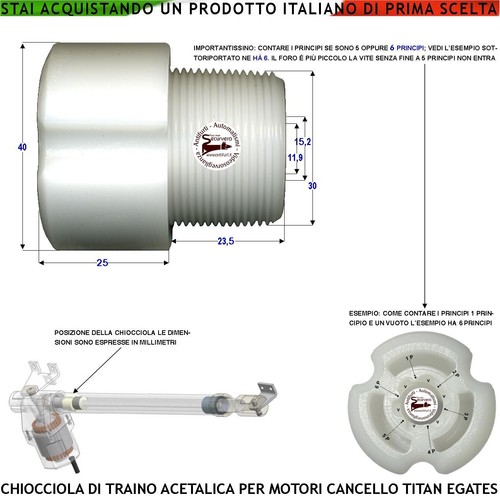 Chiocciola acetalica boccola - acetalica,