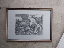 Incisione,acquaforte Di