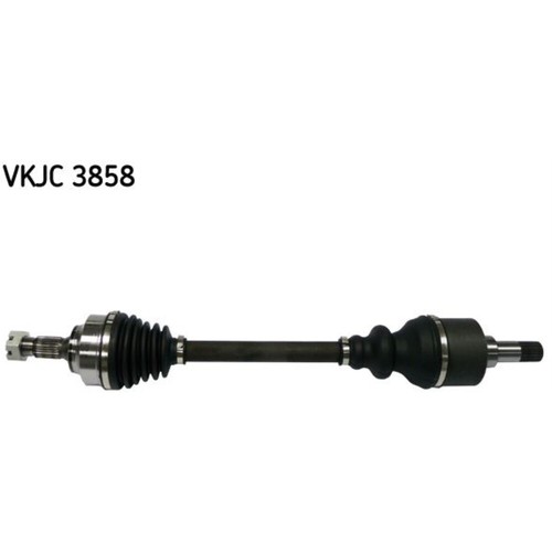 Albero motore skf anteriore - albero,