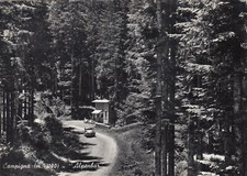 CARTOLINA *9 CAMPIGNA m. 1100