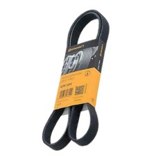 Cinghia servizi alternatore - cinghia, pv
