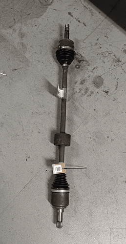 Semialbero ant compl dx alfa - semialbero, compl.