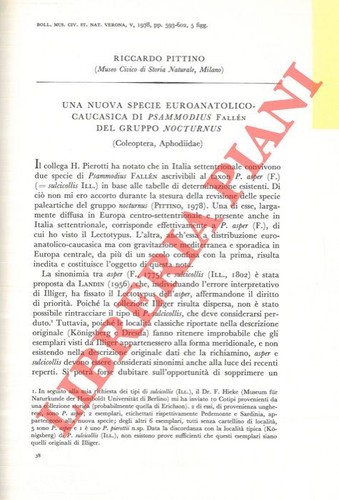 Pittino riccardo una nuova - riccardo,