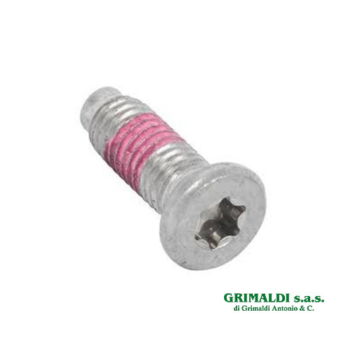 Vite inox fissaggio - vite,