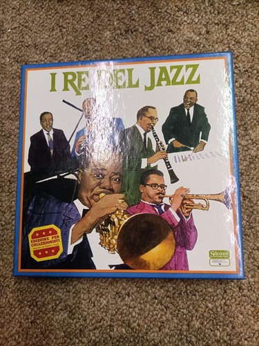 Collezione dischi vinile - collezione,