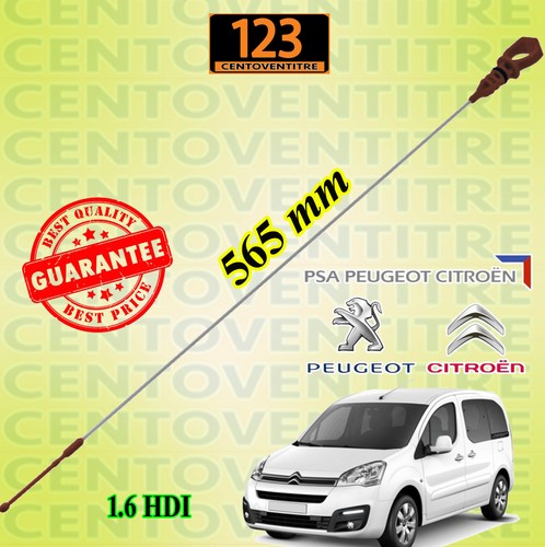 Asta controllo livello olio - controllo,