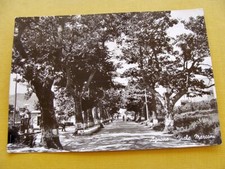 (FG.Q71) AGNONE - VIALE MARCONI animata (vg 1959 ed.Libreria Amicarelli) isernia