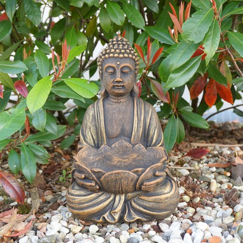 Buddha fiore loto - buddha,