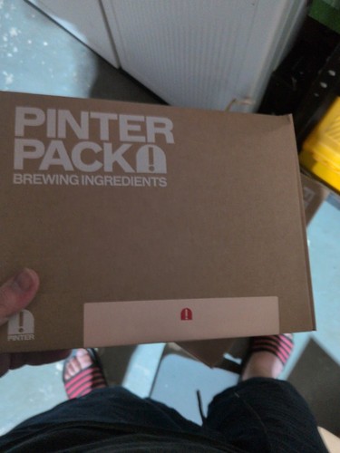 Pinter kit birra fresca snap - pinter,