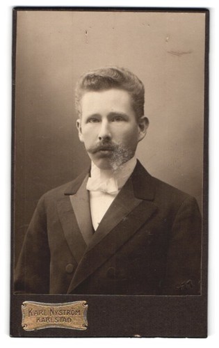 Fotografie karl nyström - karl,