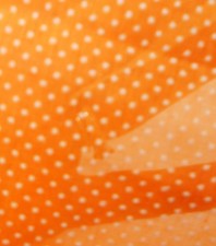 Vintage Sheer Flocked Swiss