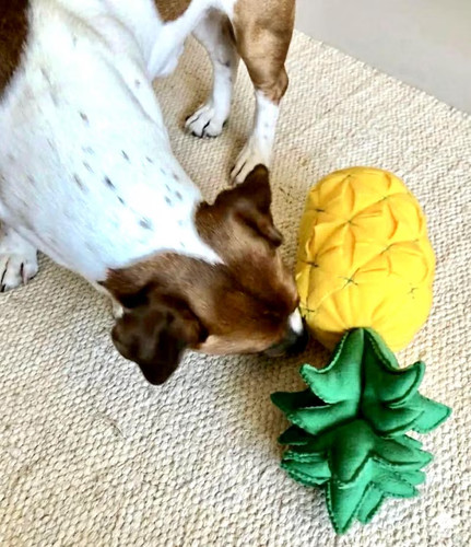 Ananas snuffle toy - –, puzzle